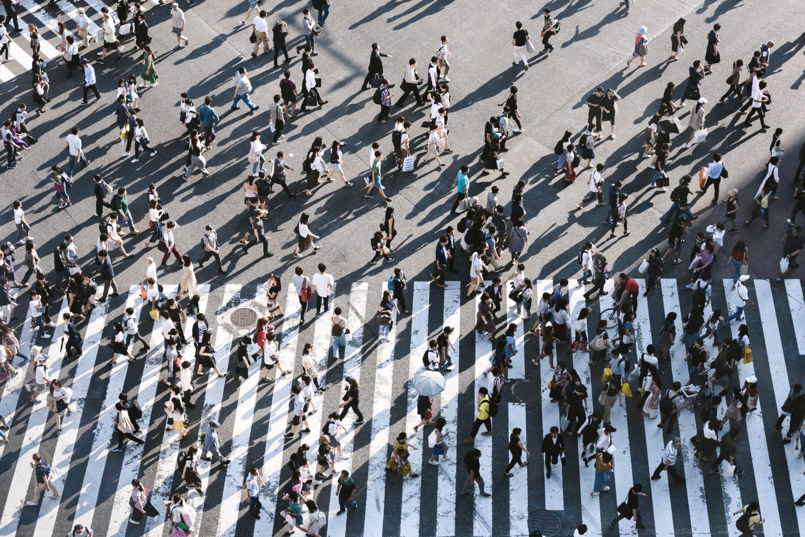 Foto notizia